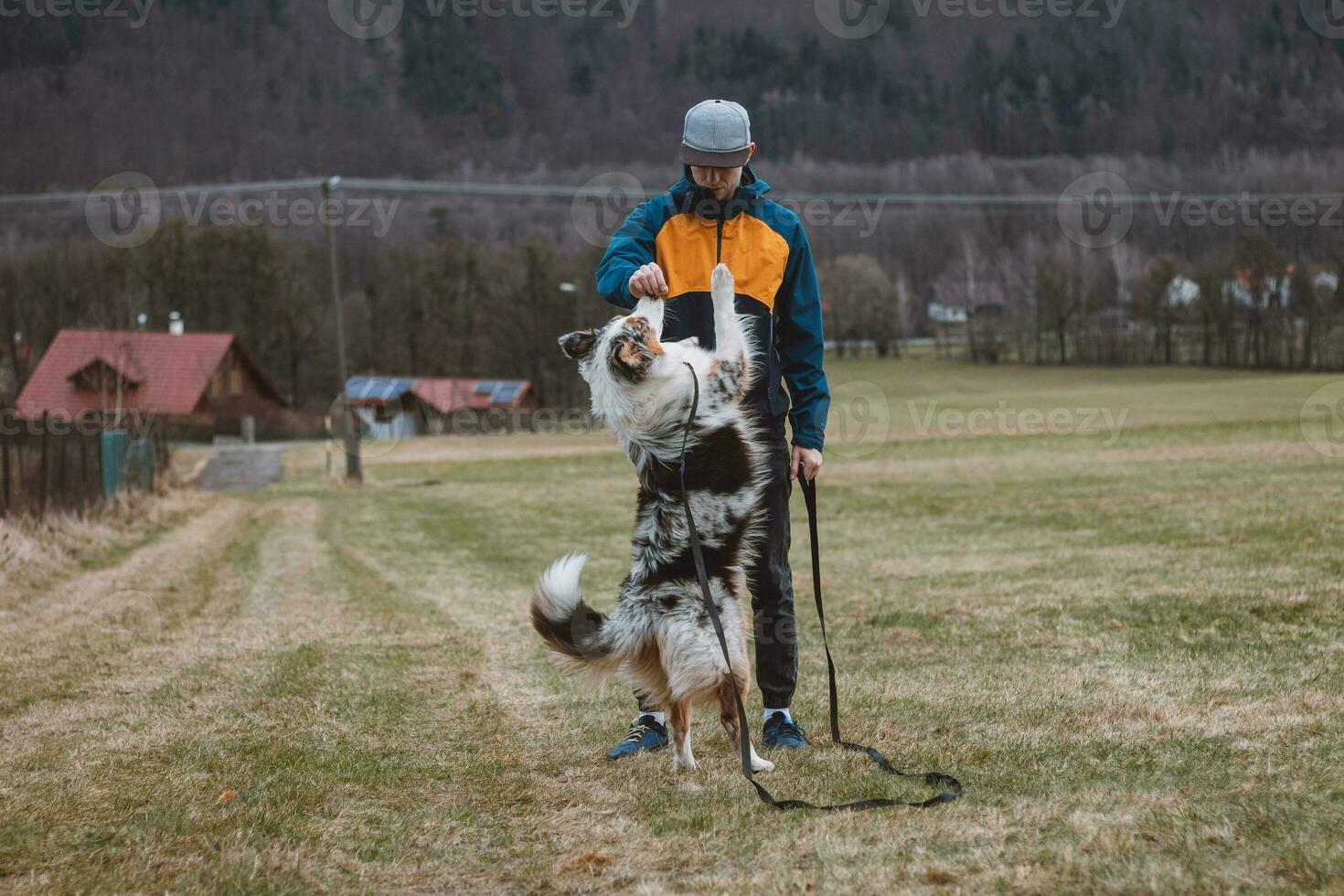 ung cynolog, en hund tränare tåg en fyrbenta sällskapsdjur australier herde i grundläggande kommandon använder sig av godsaker. kärlek mellan hund och mänsklig. söthet foto