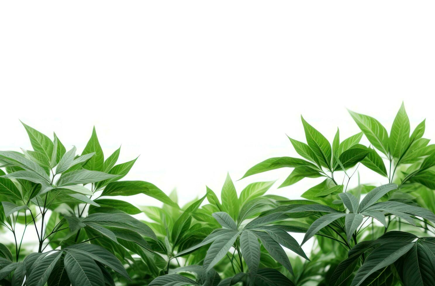 ai genererad grön blad bakgrund på en vit bakgrund, foto