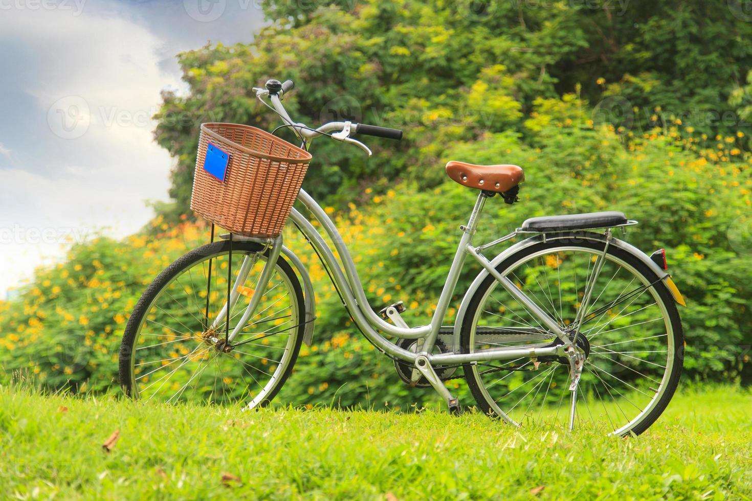 cyklar i parken foto