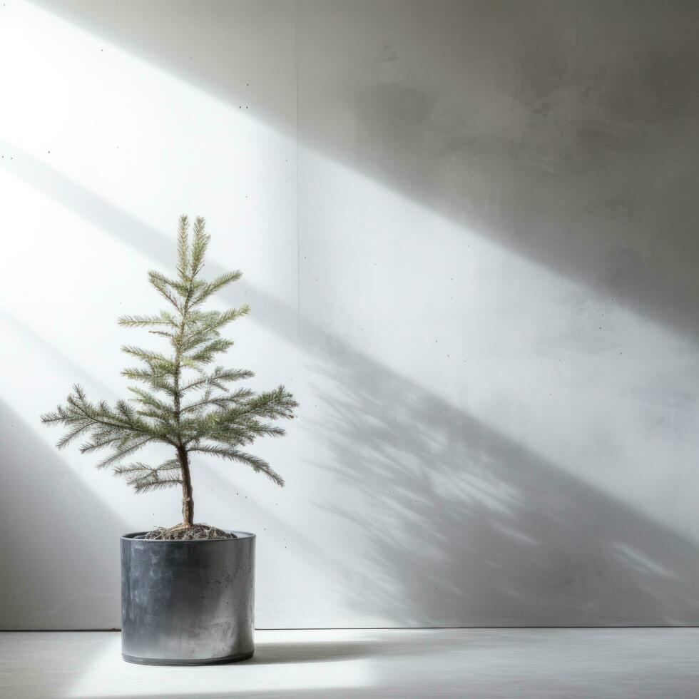 ai genererad en små jul träd med lampor i främre av ett ful betong vägg, foto