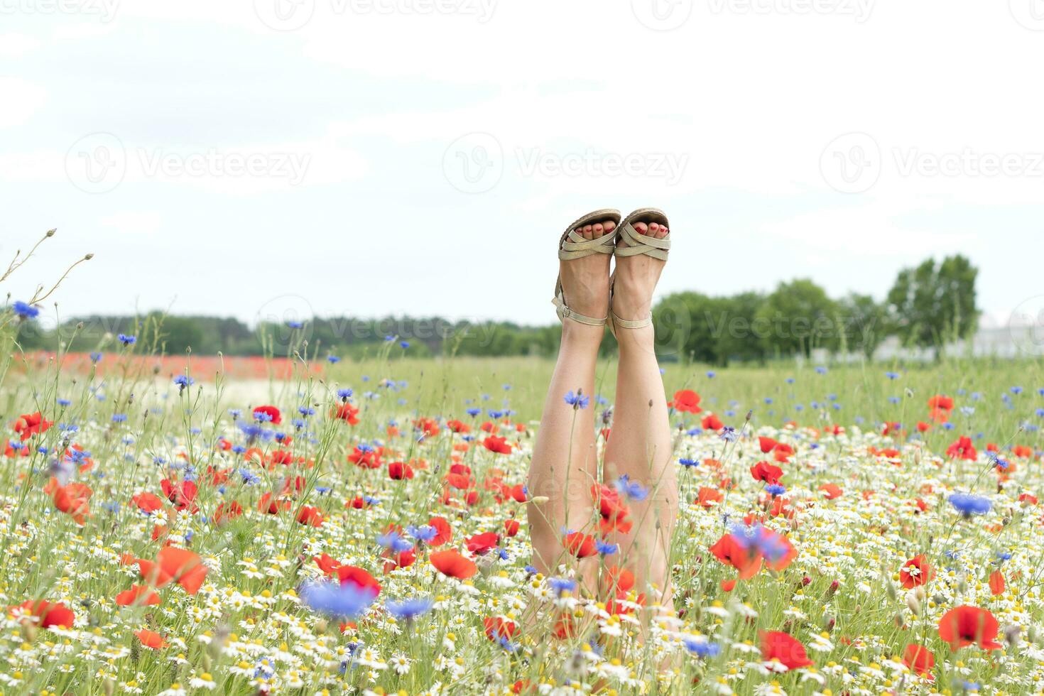 kvinna ben pinne ut från de fält av flerfärgad blommor, explosion av Färg foto