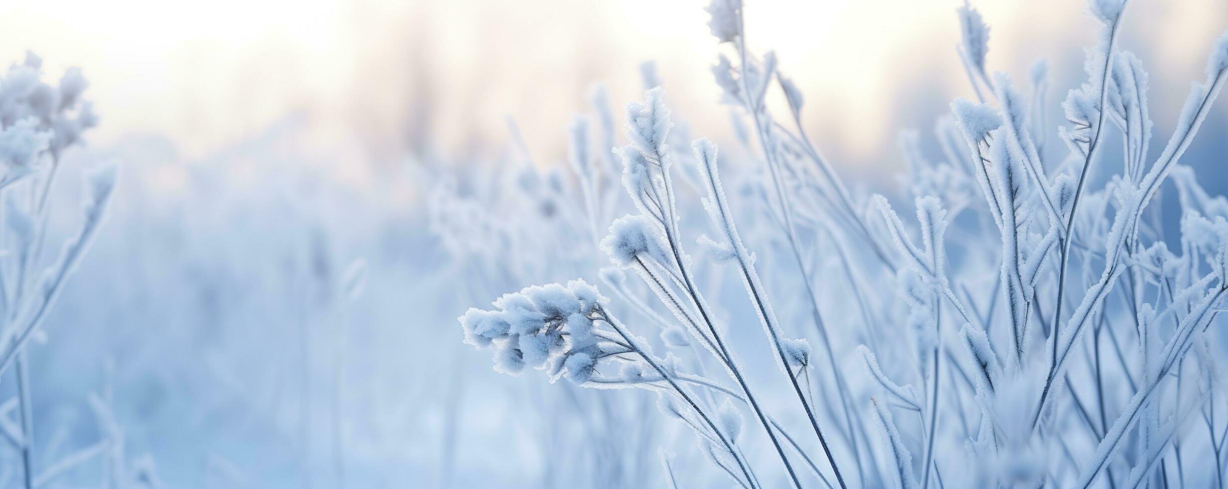 ai genererad frysta snöig gräs, vinter- naturlig abstrakt bakgrund. skön vinter- landskap. ai genererad foto