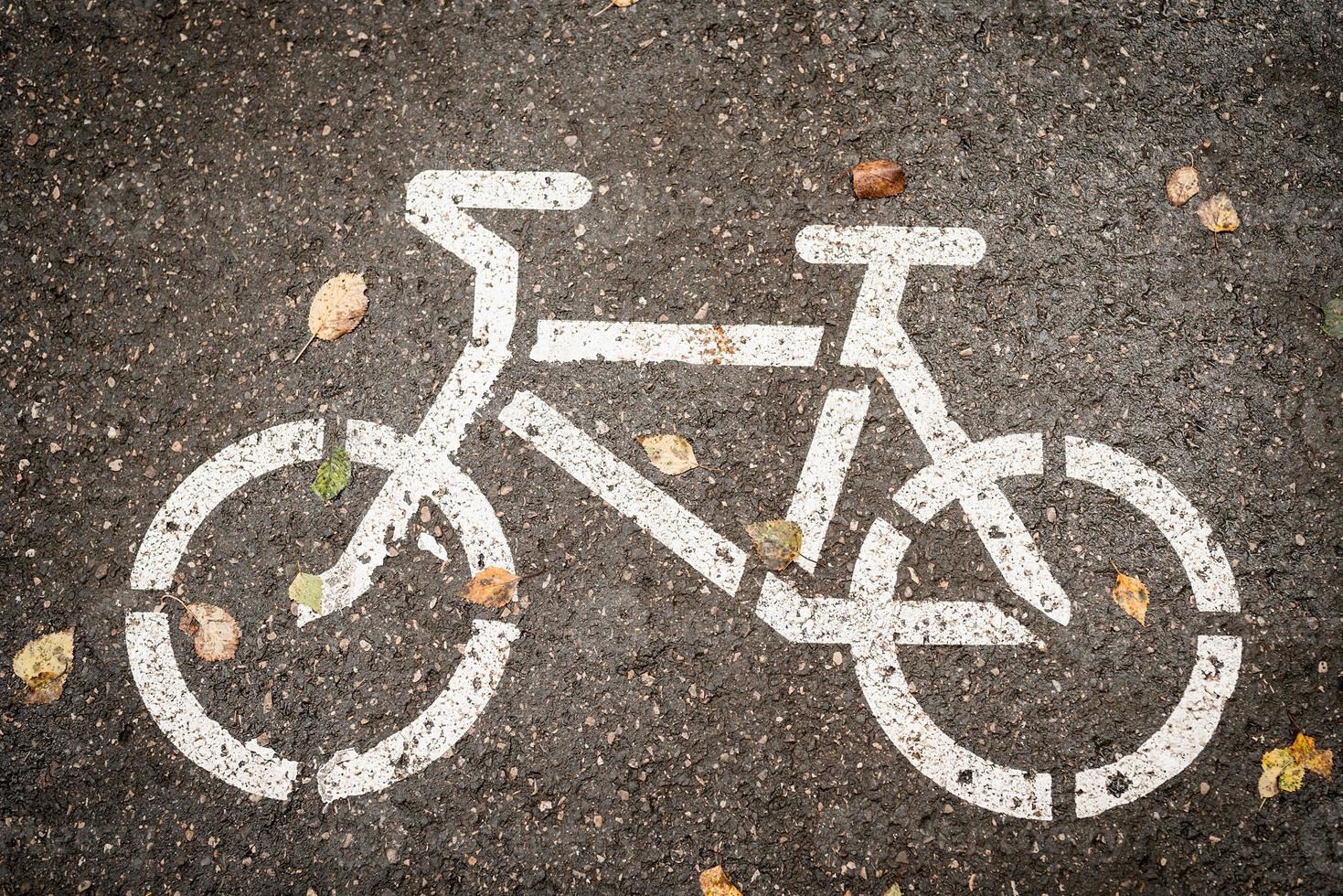 cykelbaneskylt på asfalten med gula blad foto