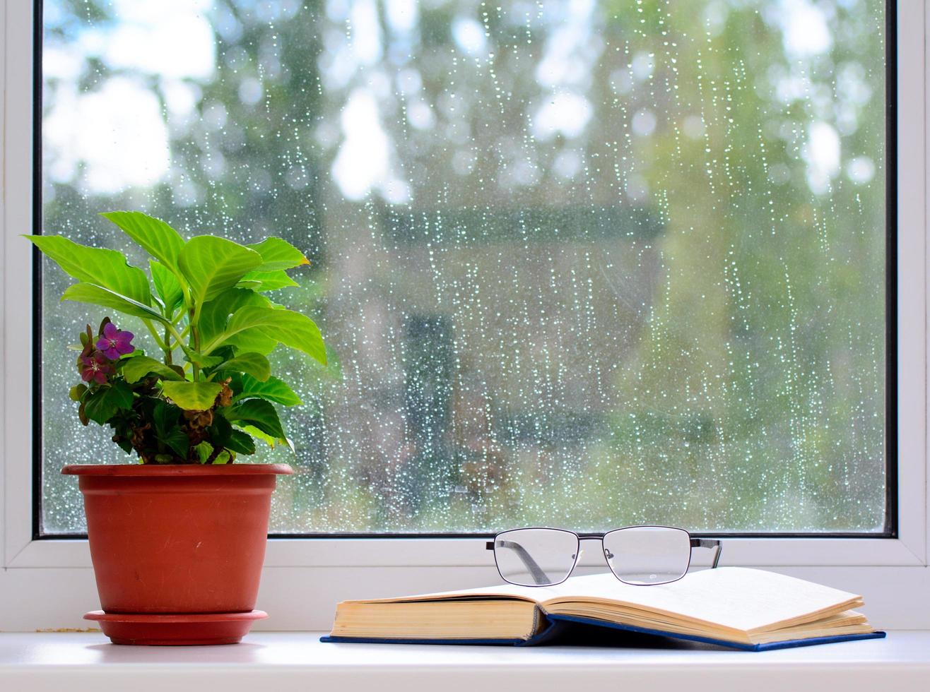 det finns en blomkruka på fönsterbrädan. en öppen bok ligger i närheten. det finns glasögon på boken. regndroppar i fönstret. konceptet är hemmavila. foto