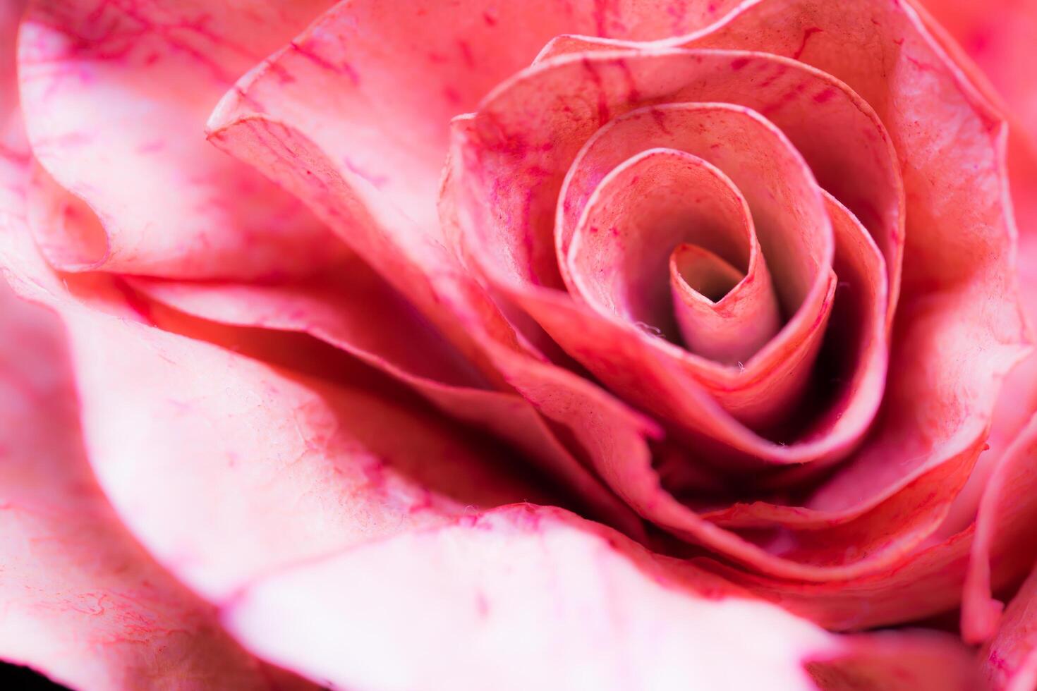 rospapper hantverk, närbild av ros gör från papper för abstrakt bakgrund. foto