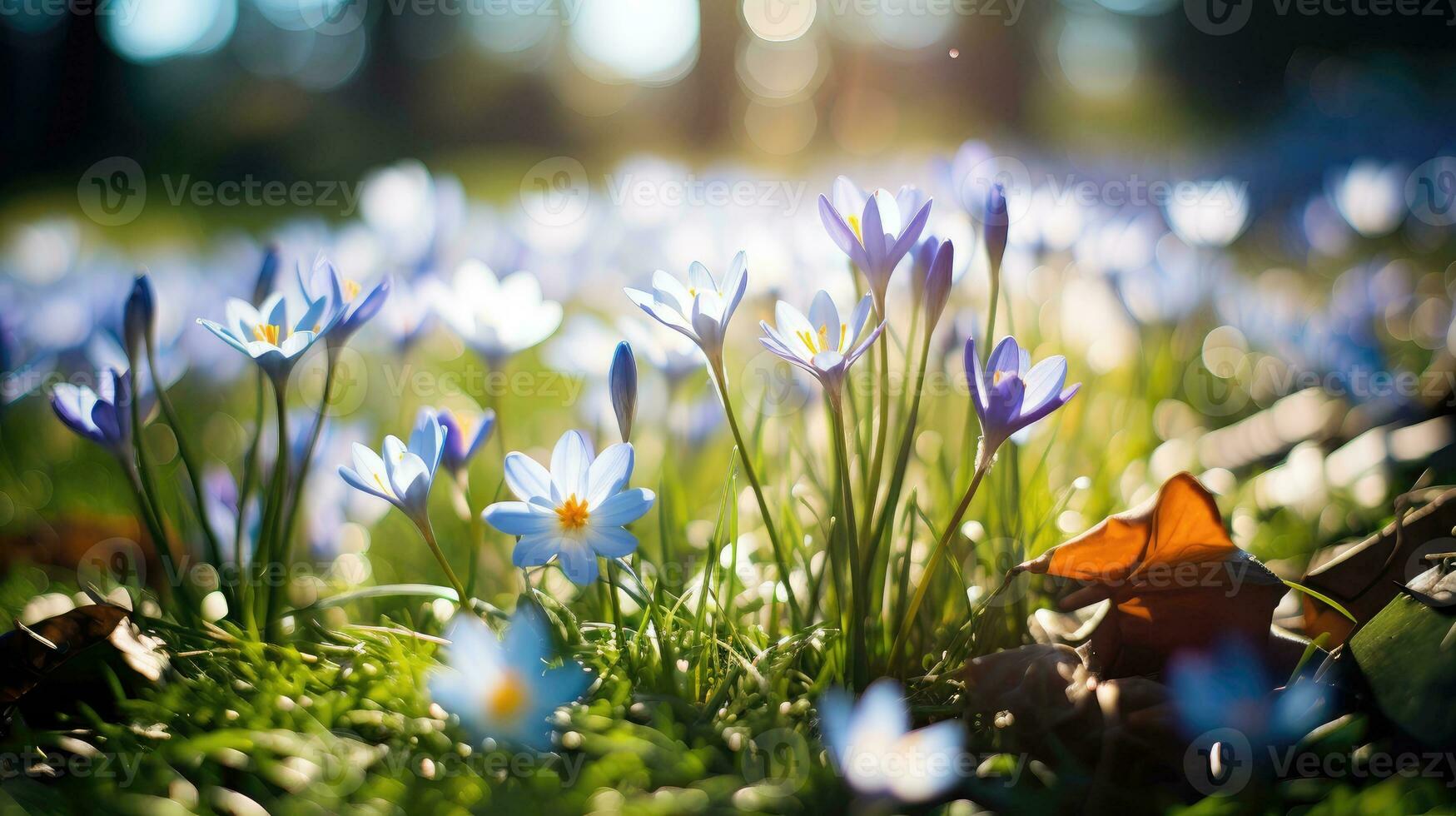 ai genererad blommor, bakgrund bild, blomma fält, ljusstyrka, friskhet, landskap, landskap, natur foto