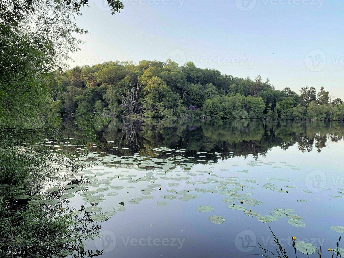 en se av blake ren sjö nära ellesmere i shropshire foto