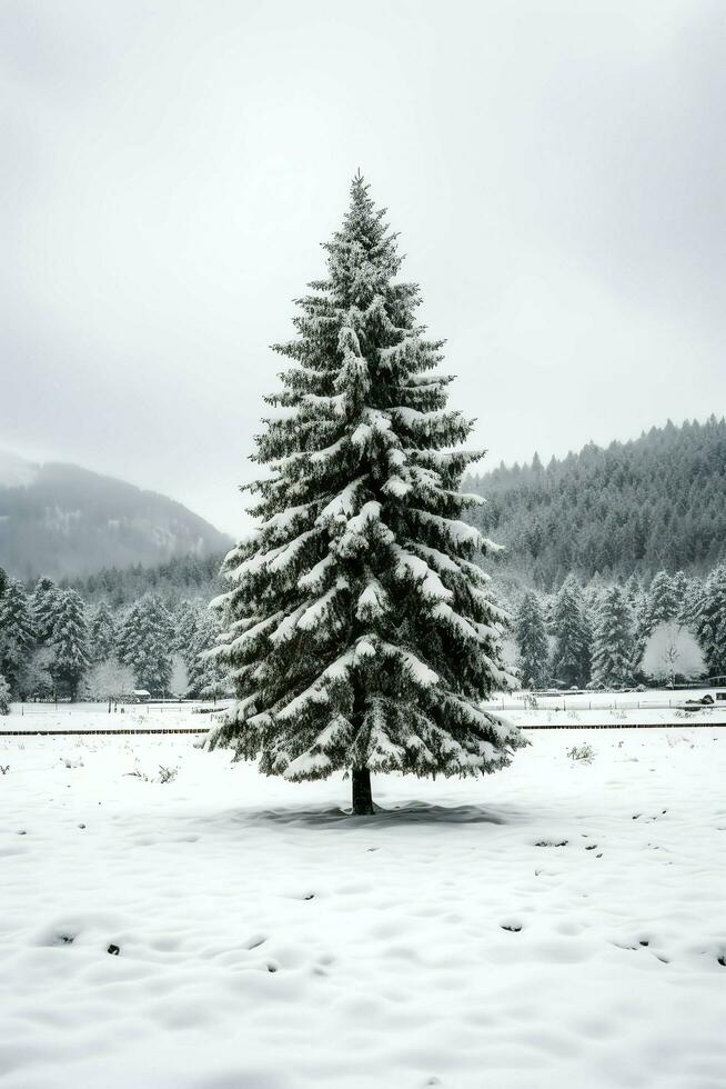 tall träd eller dekorerad jul träd täckt förbi snö på skön vinter. jul tema utomhus förbi ai genererad foto