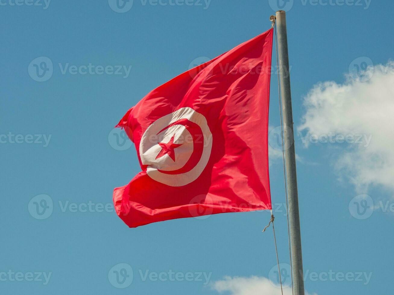 tunis stad i tunisien foto