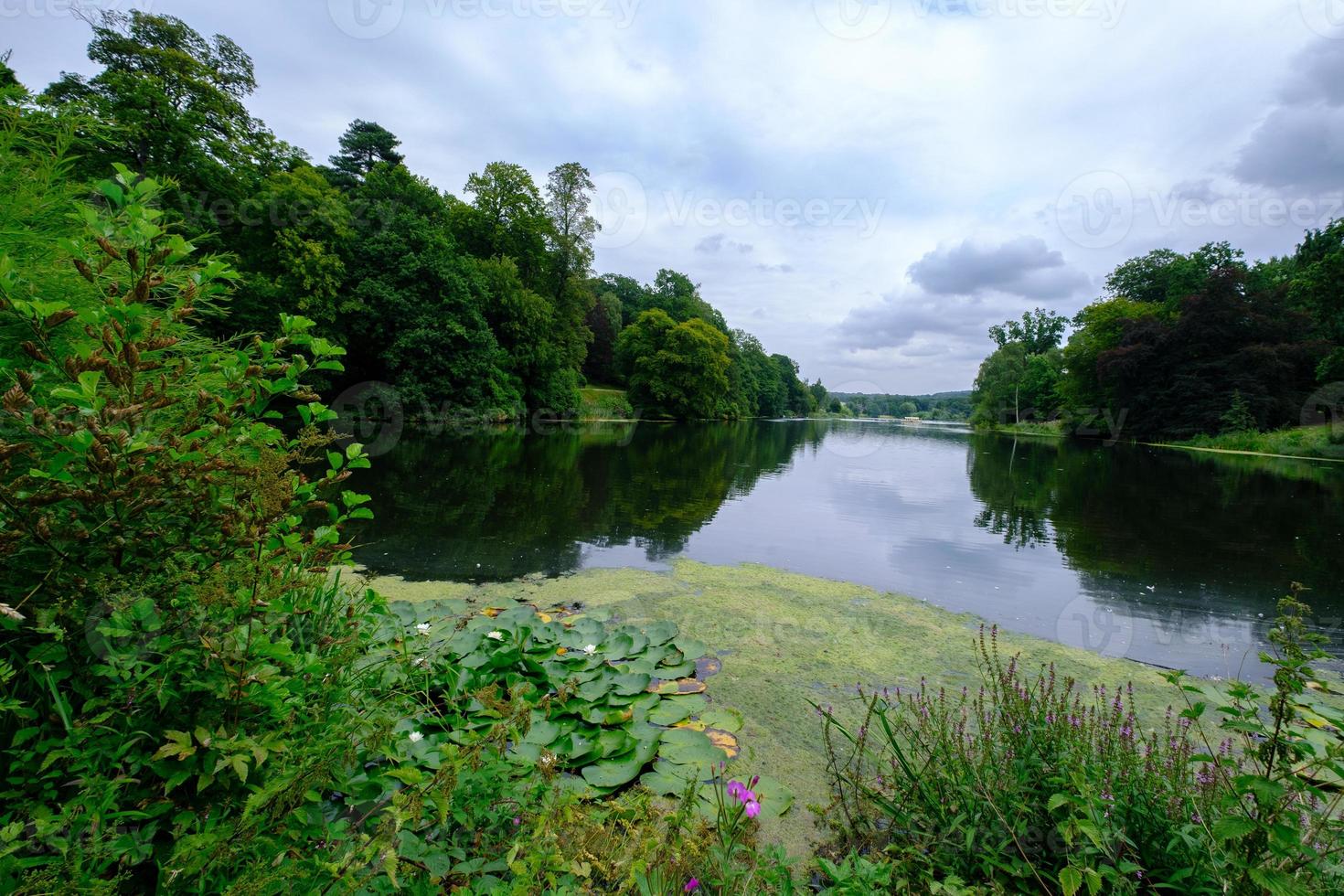 vackert landskap av trädlövverk och fiskdammen i området harewood house trust i West Yorkshire i Storbritannien foto