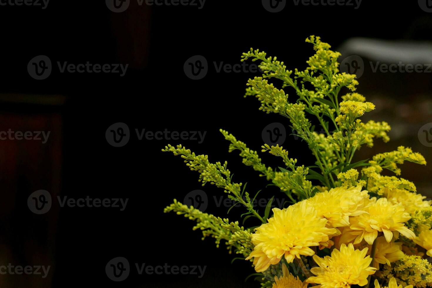 närbild och beskära krysantemum blommor och dekorera grön ormbunkar isolera på svart och suddig bakgrund. foto