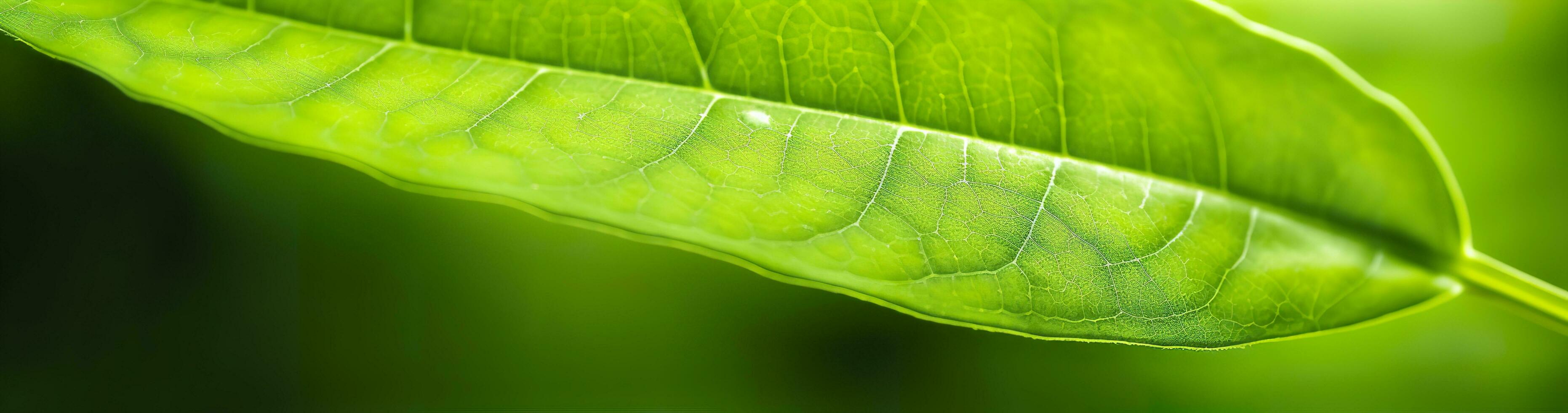 ai genererad grön blad natur bakgrund. ai genererad foto