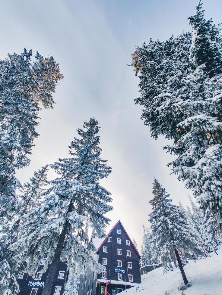 bergs skidort i karpaterna foto