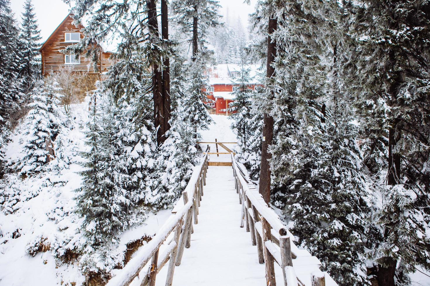 snötäckt bro i skogen foto