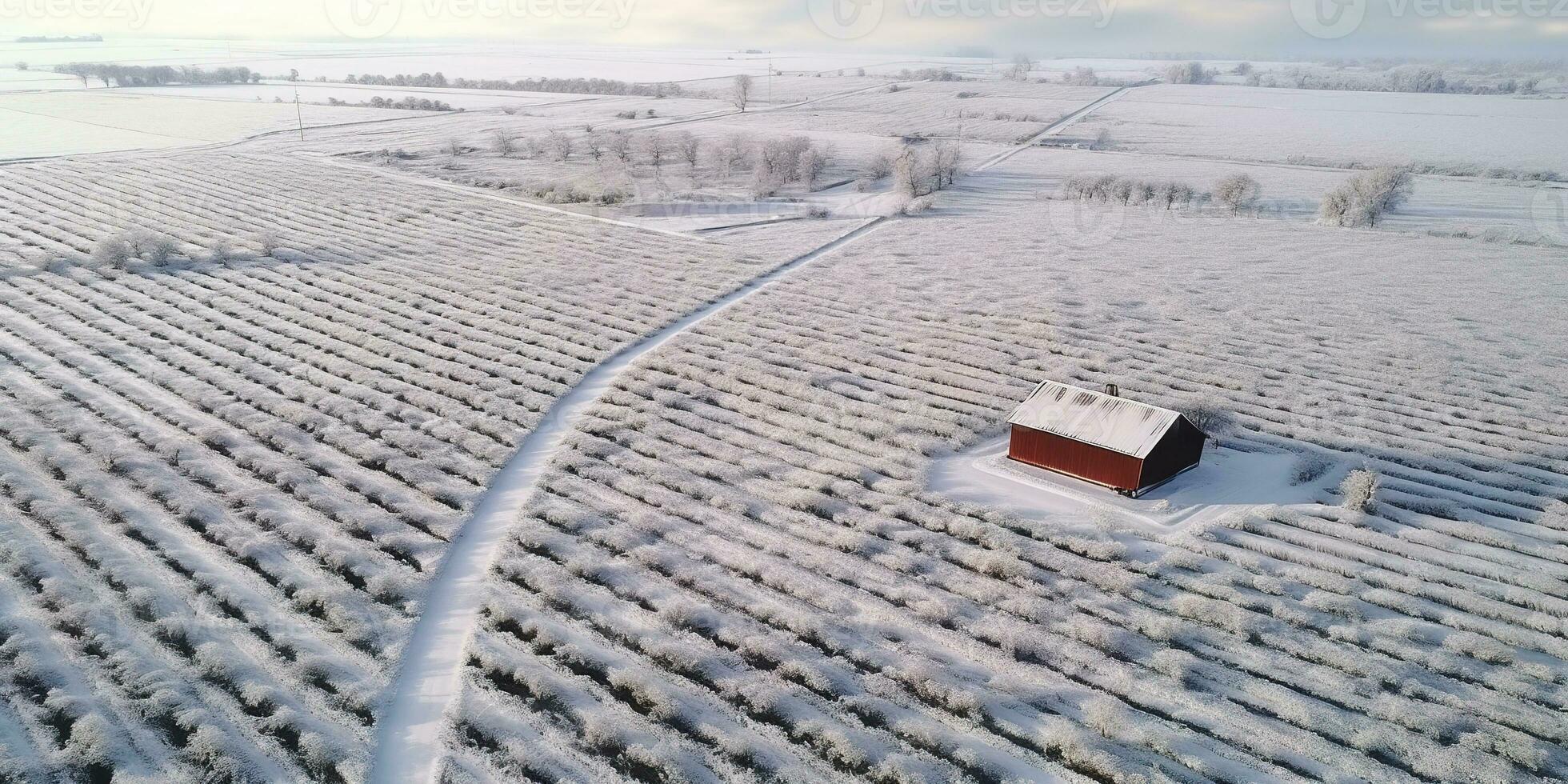 ai genererad generativ ai, bruka vinter- landskap, jordbruks fält, skön landsbygden, Land väg. natur illustration, fotorealistisk topp se Drönare, horisontell baner. foto