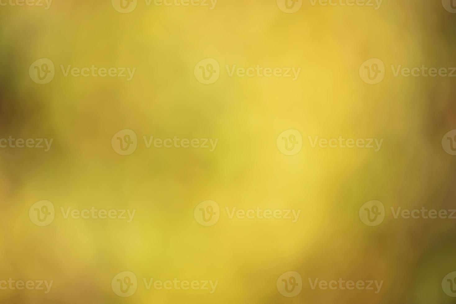 defocus suddig höstgul bakgrund med löv ur fokus. naturlig bakgrund. foto