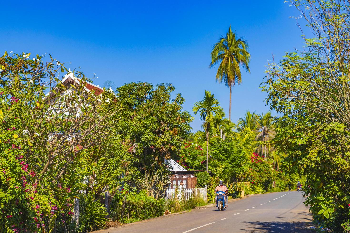 luang prabang, laos 2018- typisk färgstark väg och stadsbild av gamla stan luang prabang, laos foto