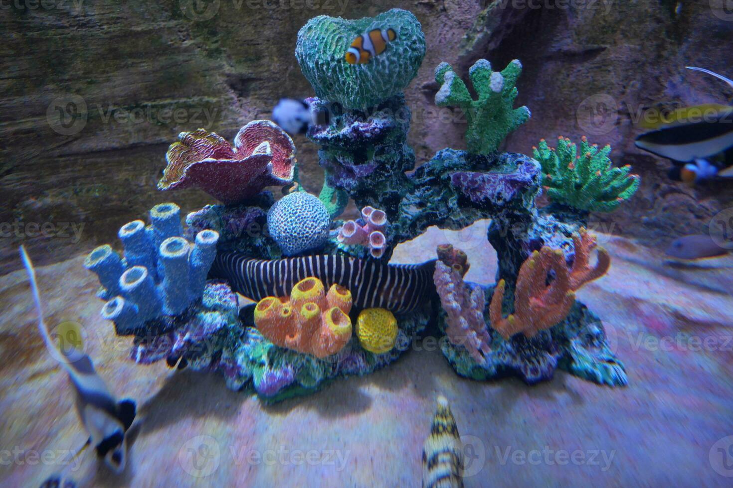 färgrik tropisk korall rev av en skön under vattnet färgrik fiskar foto