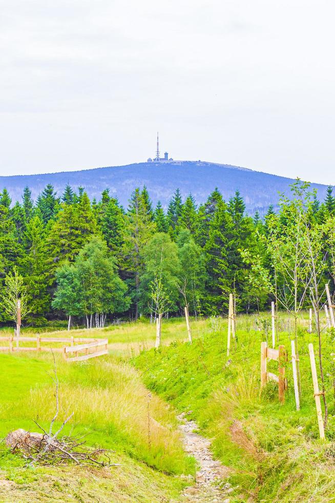 landskap panoramautsikt ovanpå brocken mountain harz tyskland foto