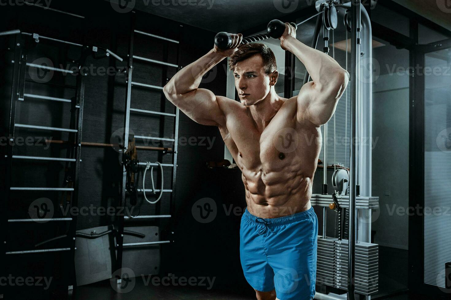 sexig muskulös man Framställ i Gym, formad abdominal. stark manlig naken torso magmuskler, arbetssätt ut foto