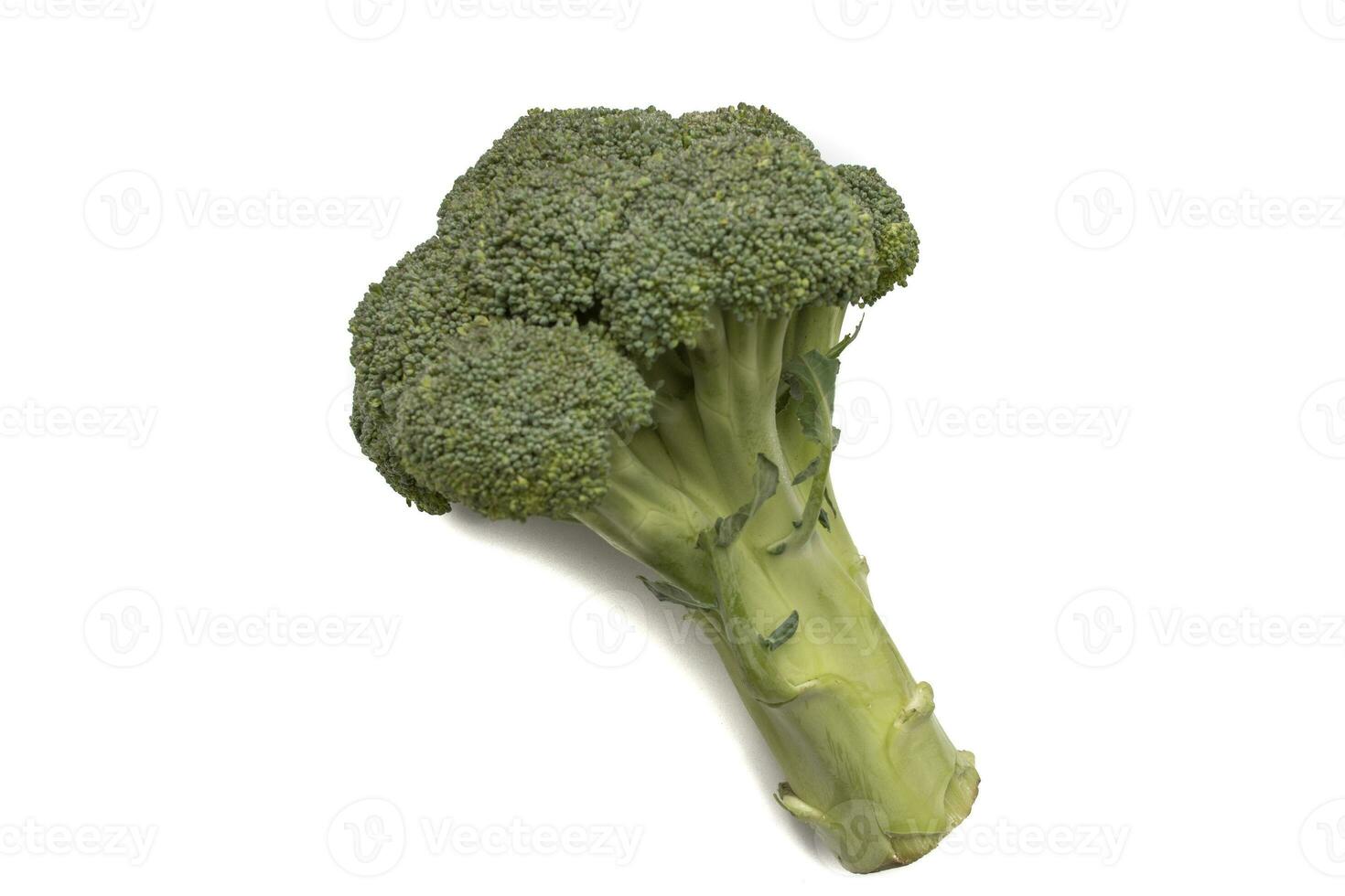 rå broccoli isolerat på vit bakgrund. dess fiber innehåll är riklig och bidrar betydligt till har en bättre mag-tarmkanalen genomresa. foto