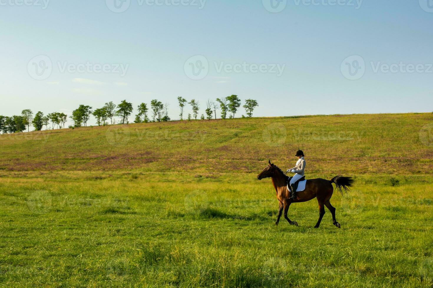 ung kvinna ridning en häst på de grön fält foto