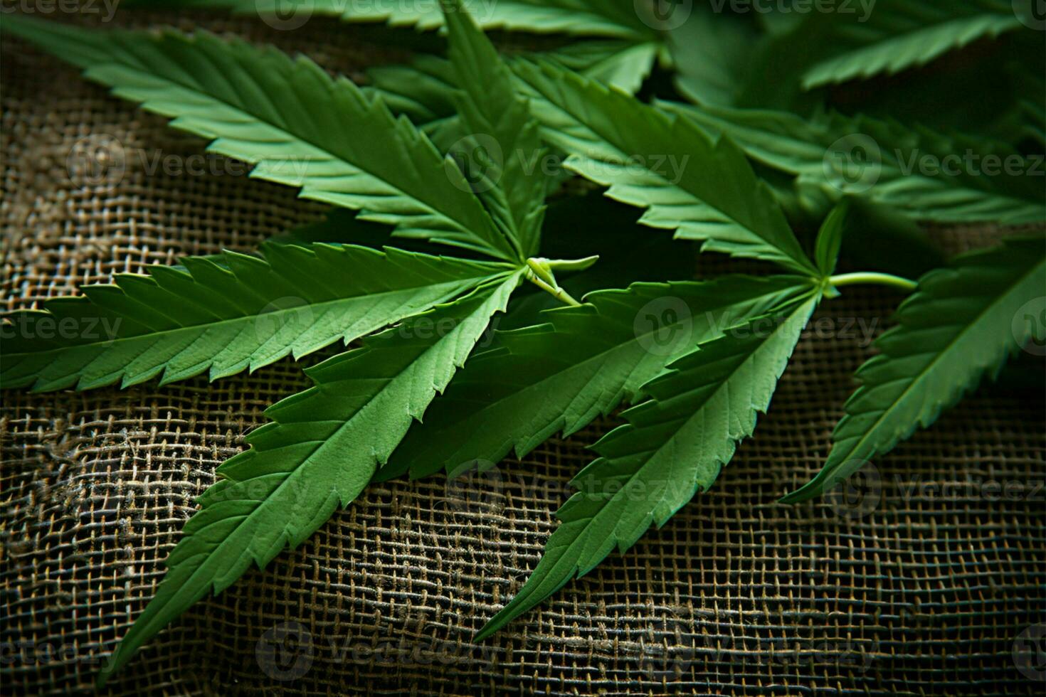 ai genererad grön textil- cannabis löv på de texturerad bakgrund av hampa foto