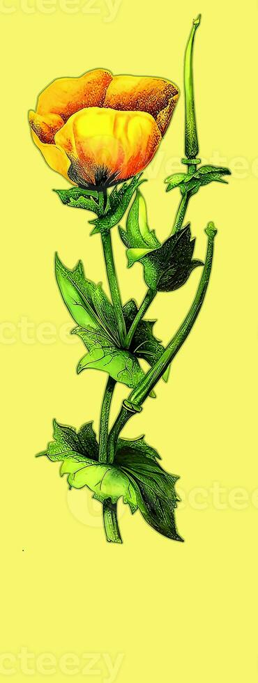 ai genererad skapas använder sig av generativ ai. illustration av vallmo gul. latin namn glaucium flavum. foto