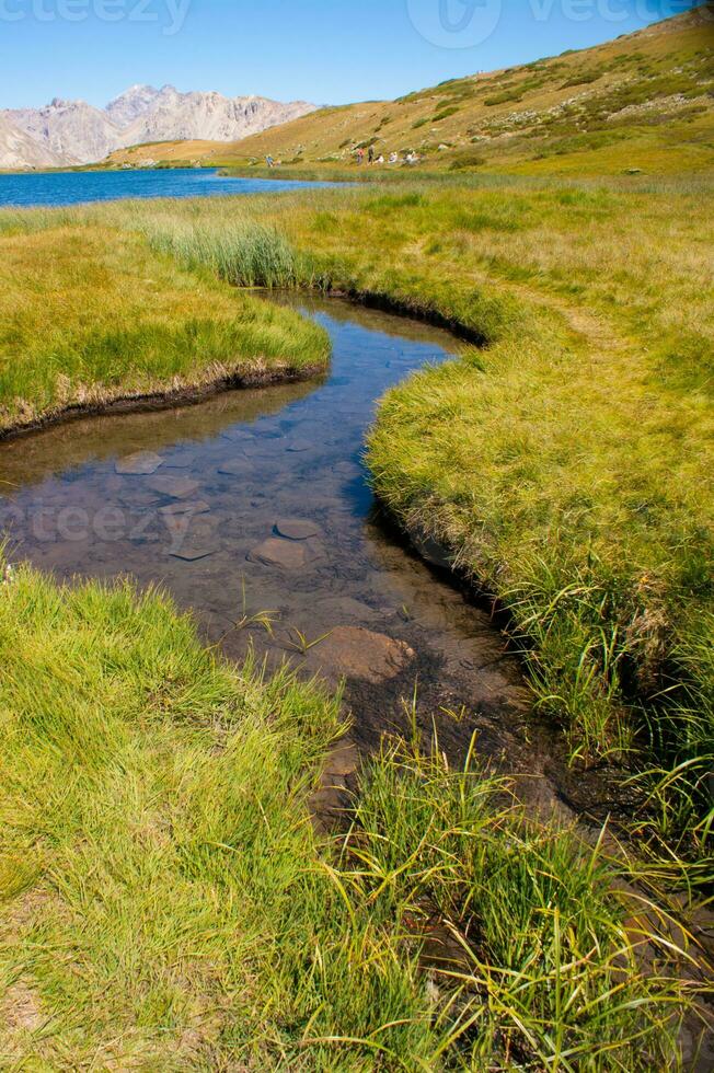 en små ström i en gräs- fält foto