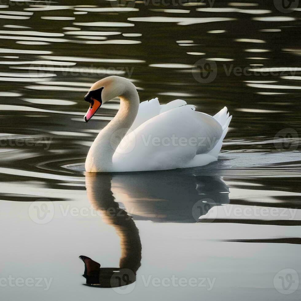 ai genererad en porträtt av en graciös svan glidande tvärs över foto