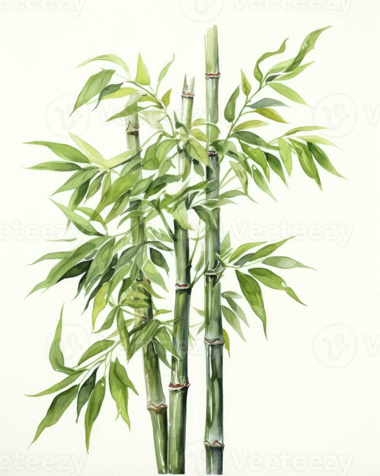 ai genererad vattenfärg bambu ClipArt isolerat på vit bakgrund. ai genererad foto