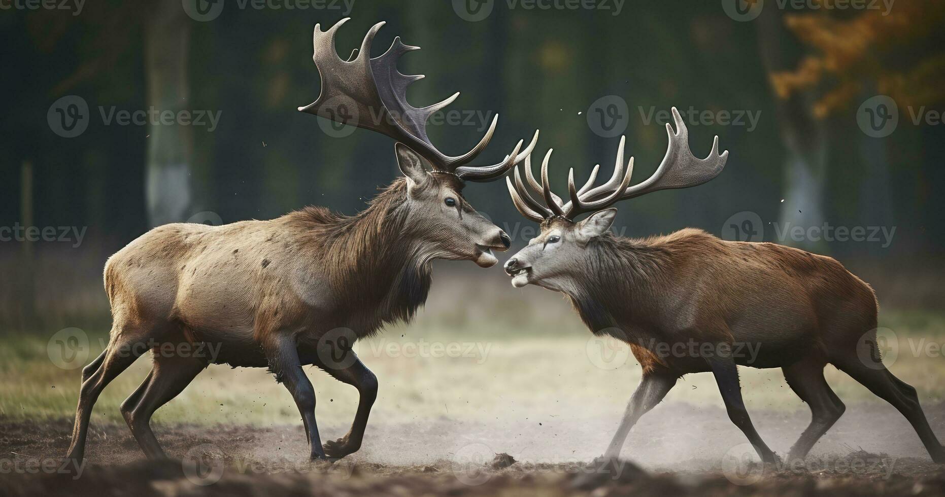 ai genererad de kamp för överlägsenhet bland röd rådjur i en vilda djur och växter parkera under de brunst foto