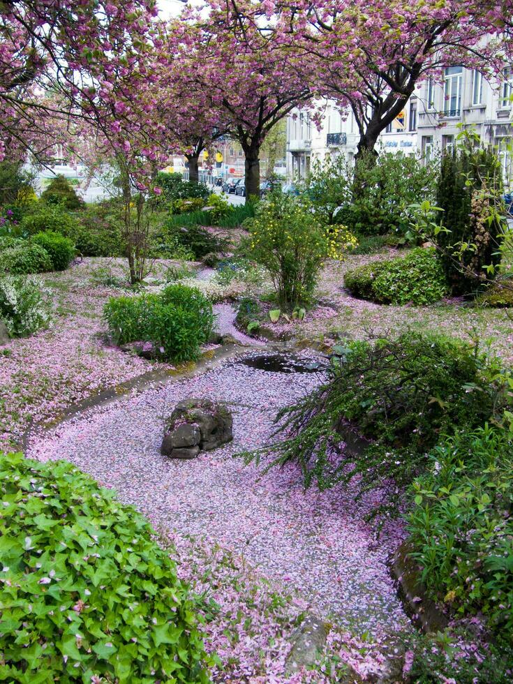 en trädgård med rosa blommor och en ström foto