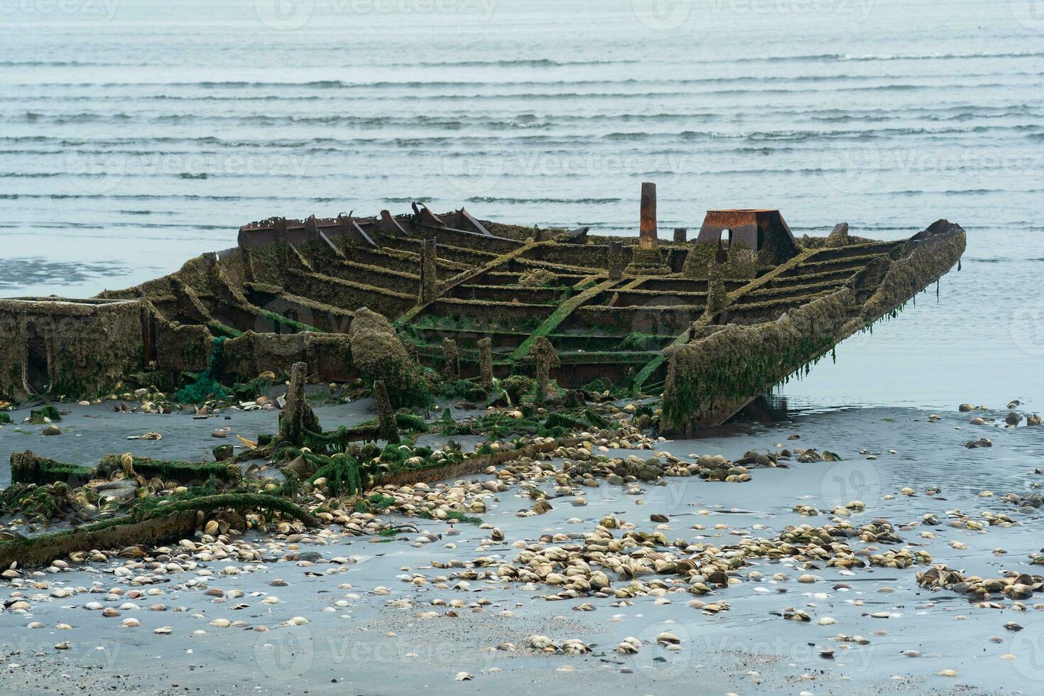 resterna av en förstört fartyg på en dimmig havsstrand foto