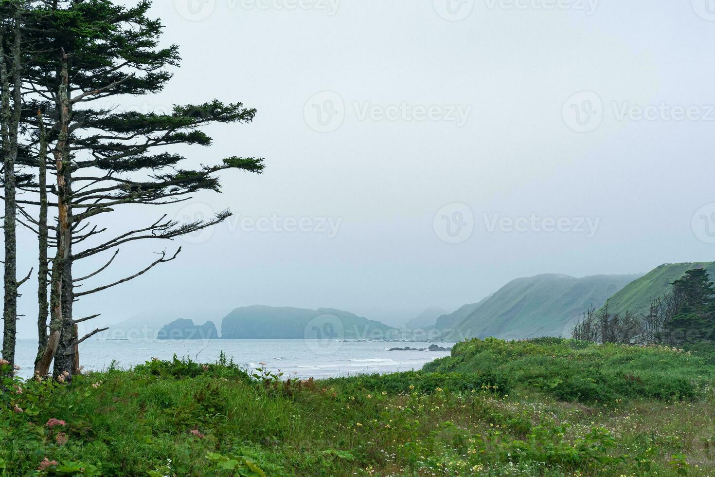 dimmig kustlinje av kunashir ö med bergen dold i dis foto
