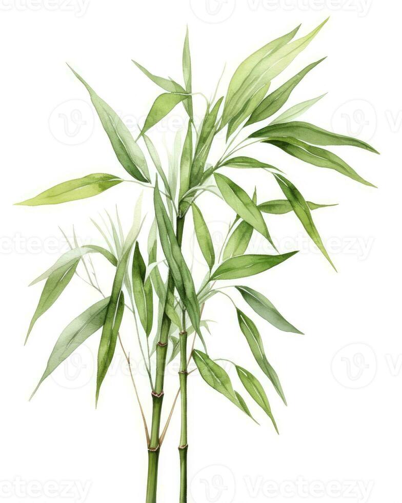 ai genererad vattenfärg bambu ClipArt isolerat på vit bakgrund. ai genererad foto