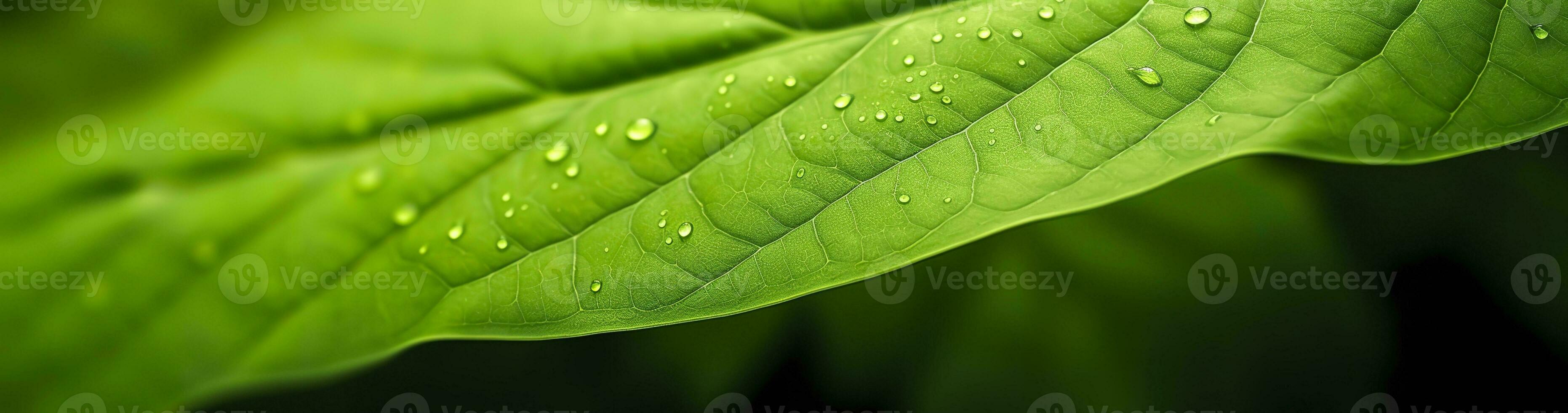 ai genererad grön blad natur bakgrund. ai genererad foto