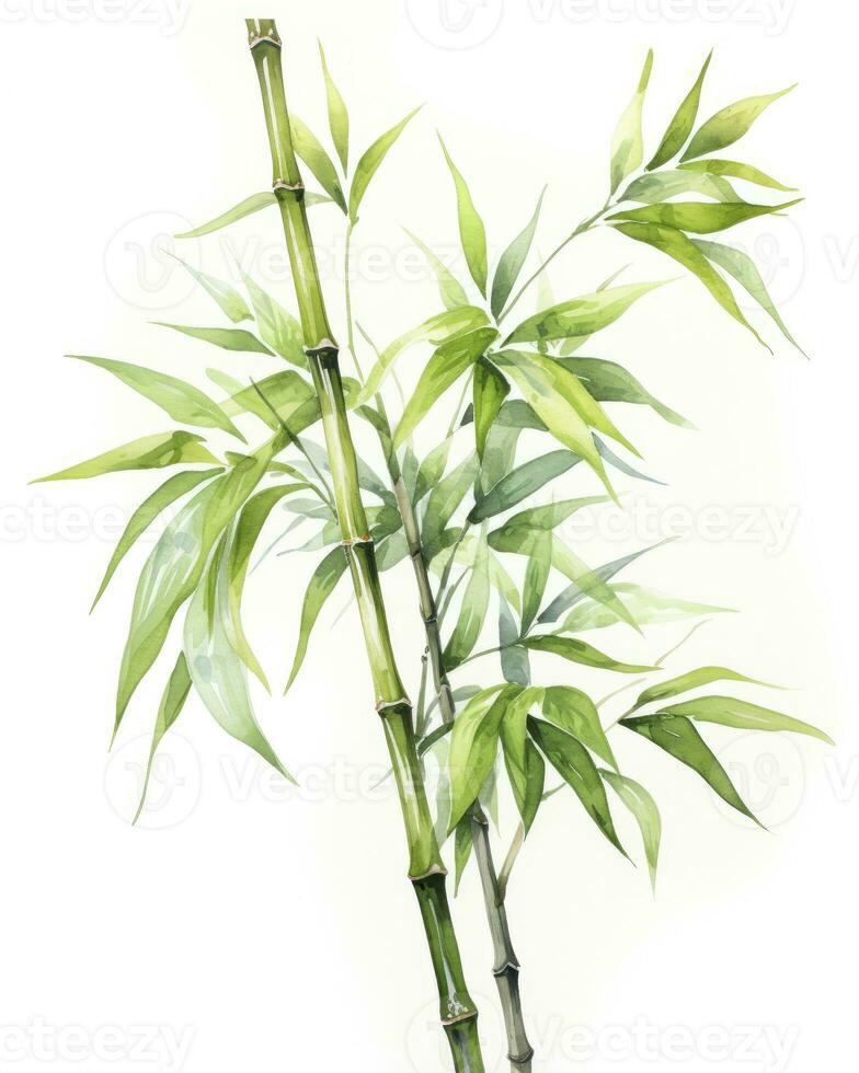 ai genererad vattenfärg bambu ClipArt isolerat på vit bakgrund. ai genererad foto