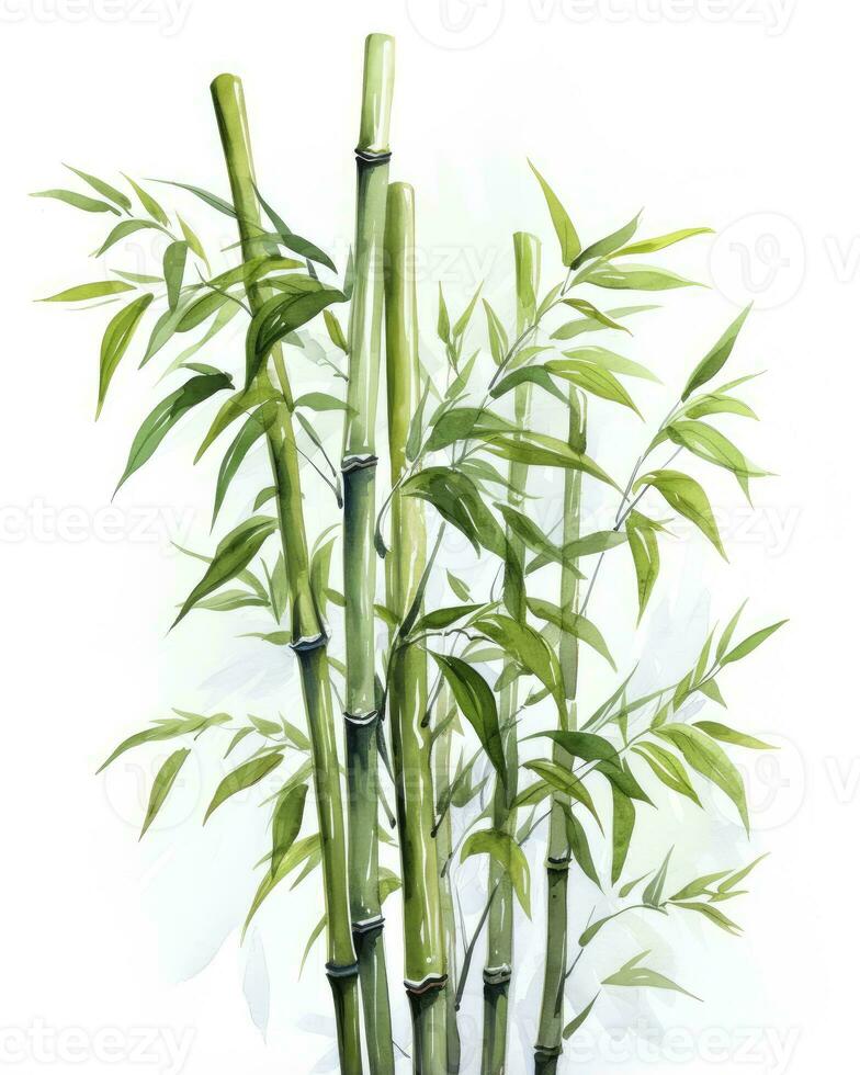 ai genererad vattenfärg bambu ClipArt isolerat på vit bakgrund. ai genererad foto