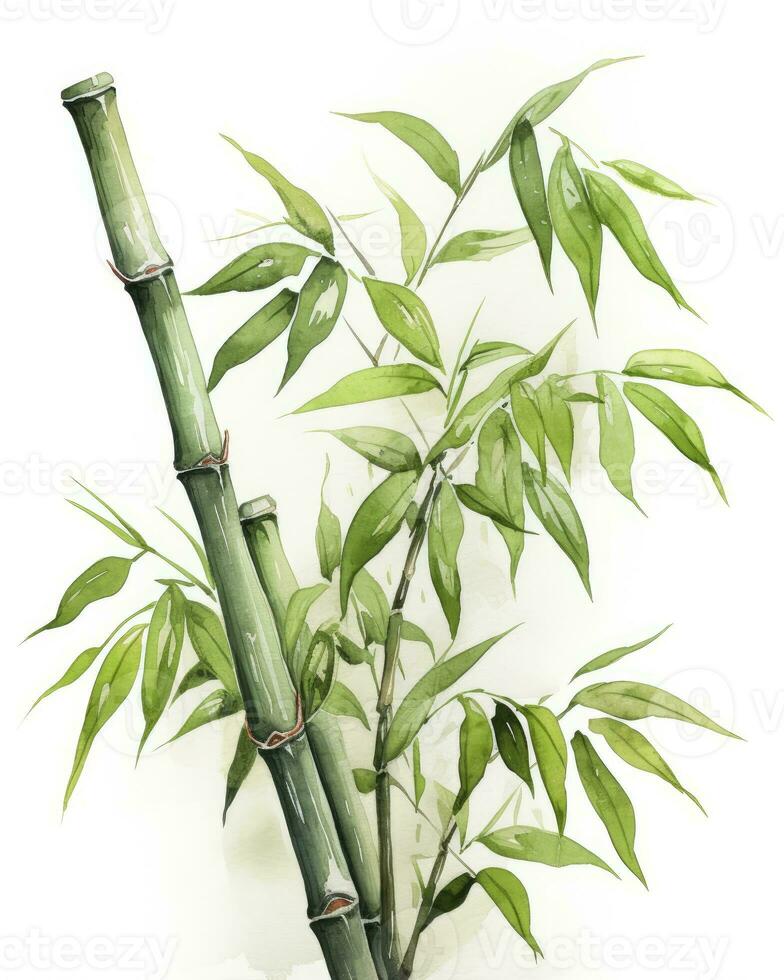 ai genererad vattenfärg bambu ClipArt isolerat på vit bakgrund. ai genererad foto