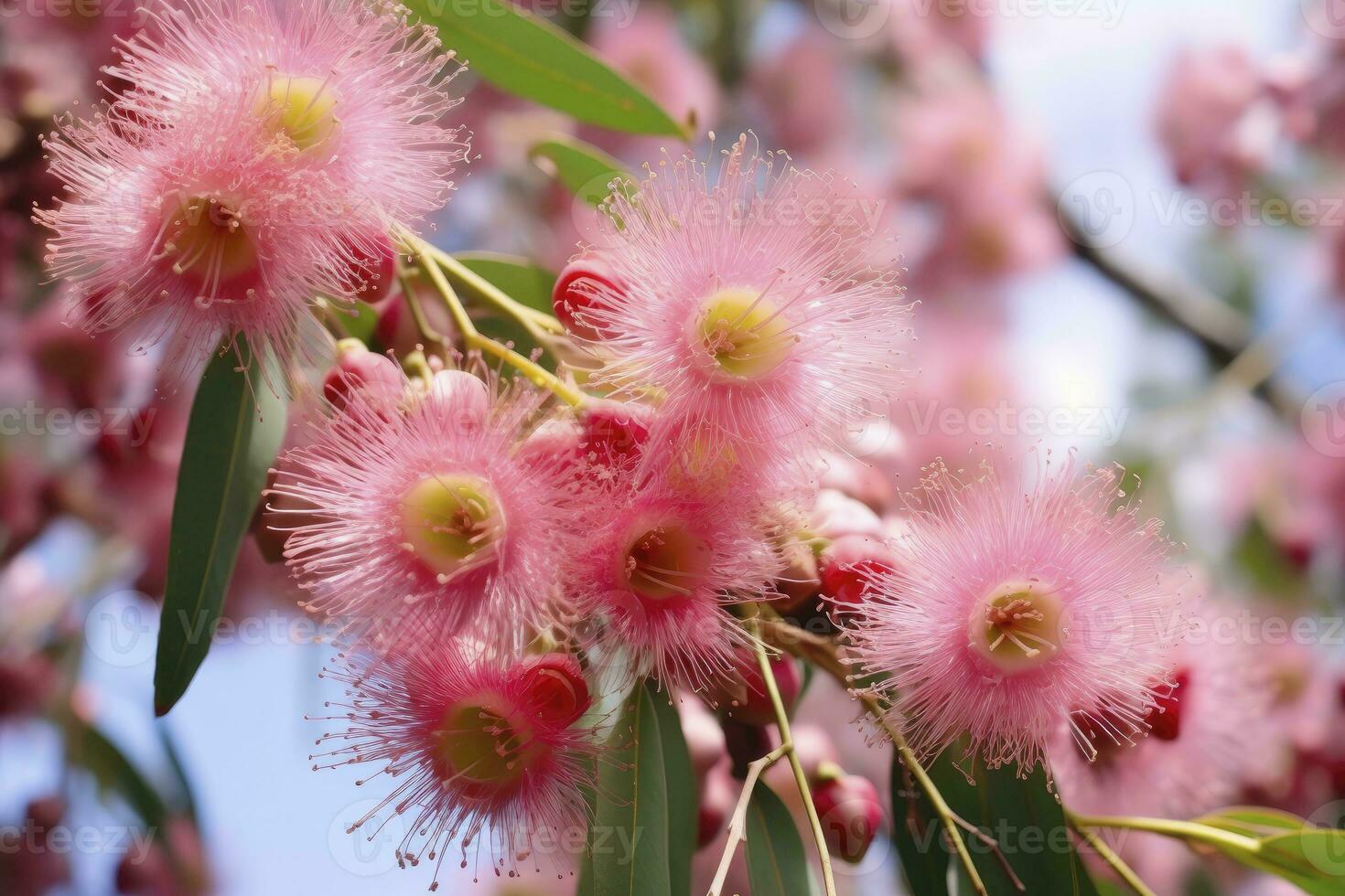 ai genererad skön gummi träd rosa blommor och knoppar. ai genererad foto
