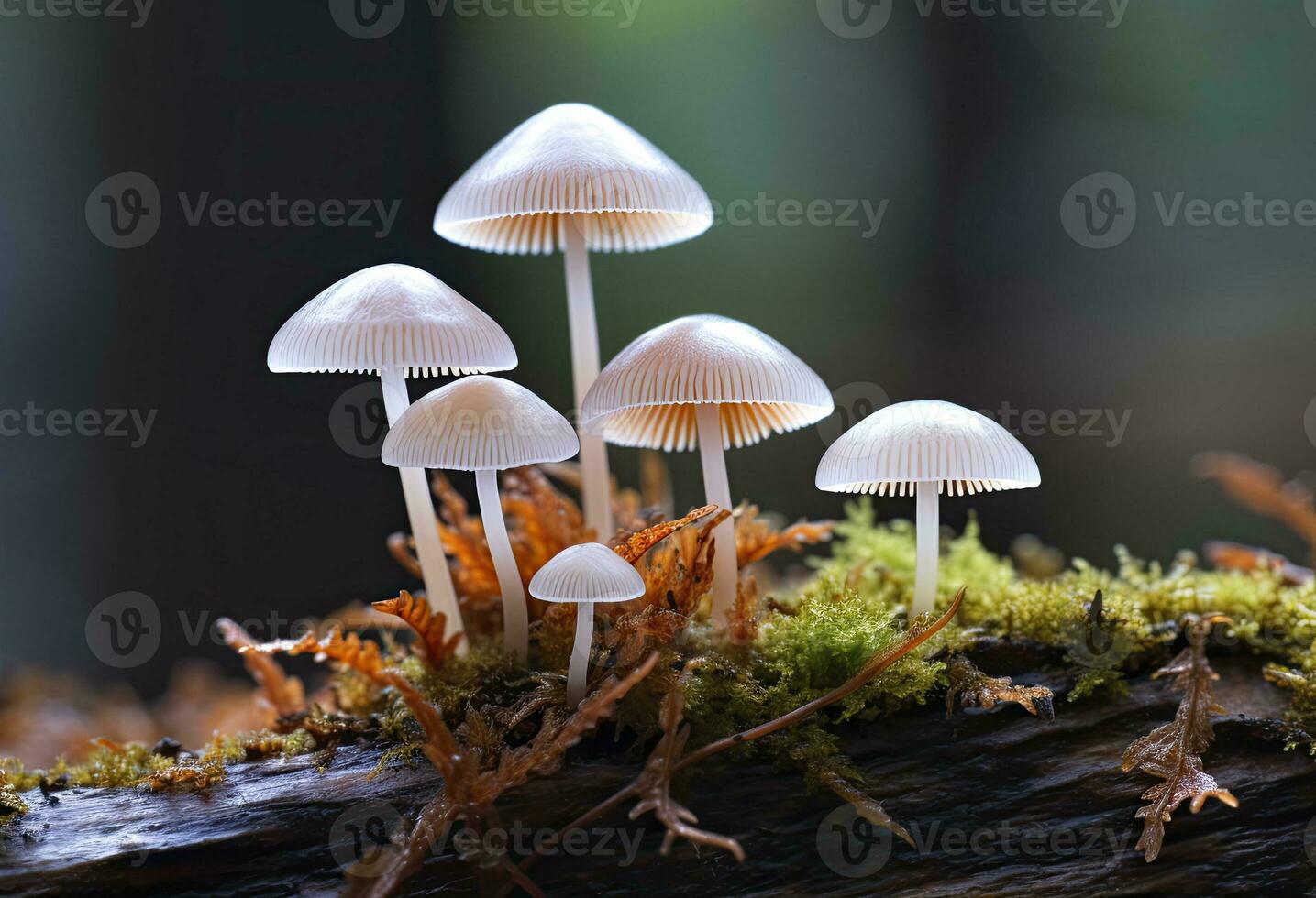 ai genererad hemimycena arter mairei. ai genererad. foto