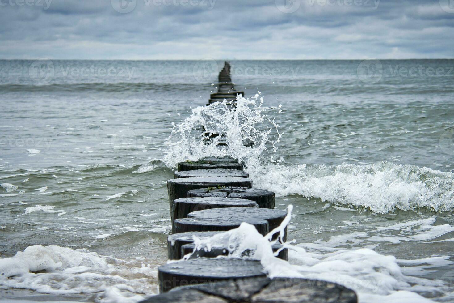 groynes jut ut in i de baltic hav. trä- trunkar till skydda de kust. landskap foto