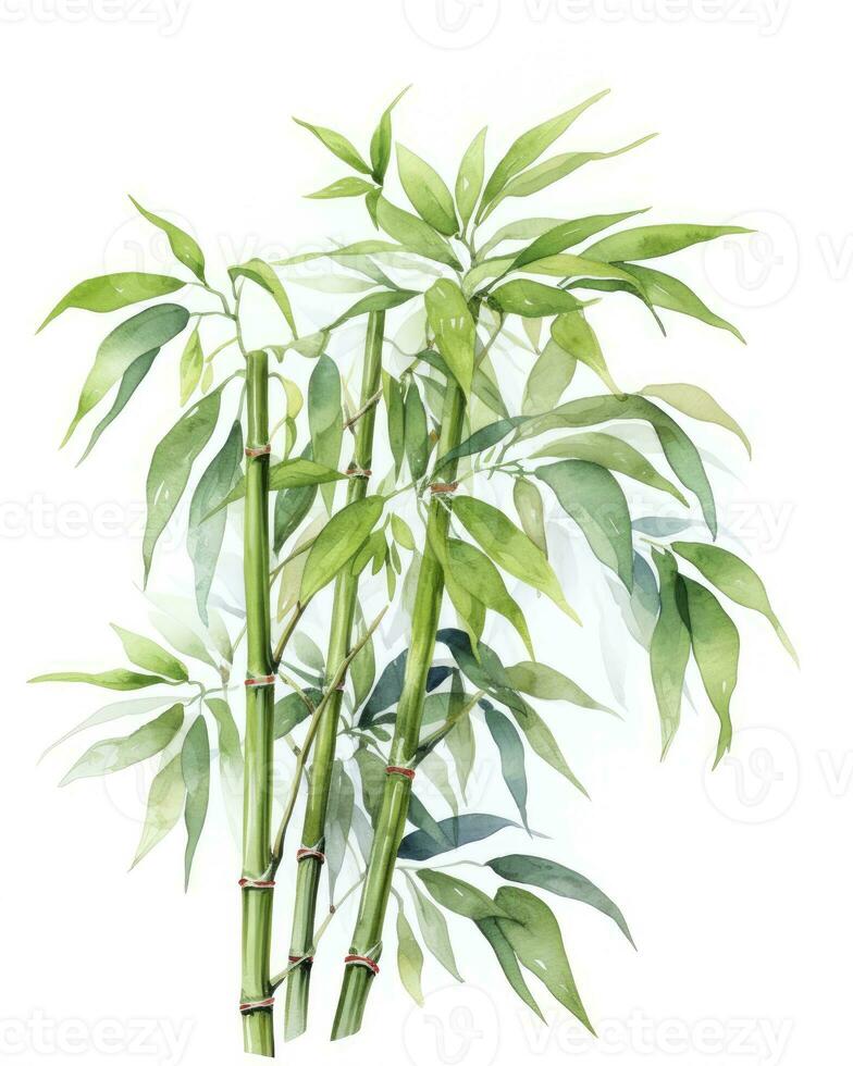 ai genererad vattenfärg bambu ClipArt isolerat på vit bakgrund. ai genererad foto