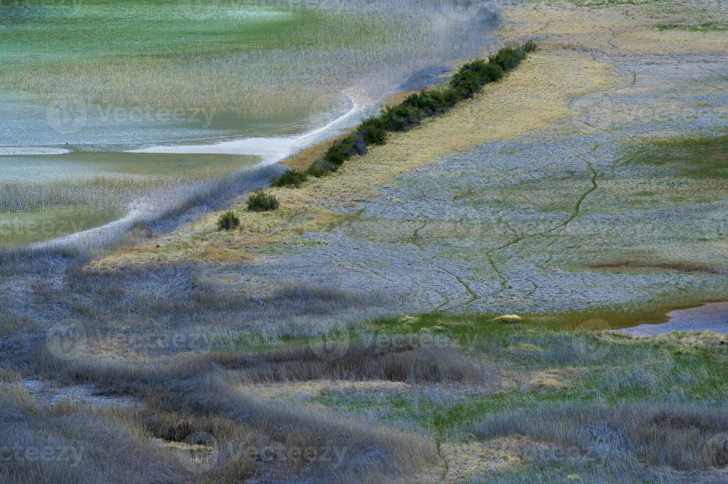 laguna med kärr gräs, patagonien nationell parkera, chacabuco dal nära cochrane, aysen område, patagonien, chile foto