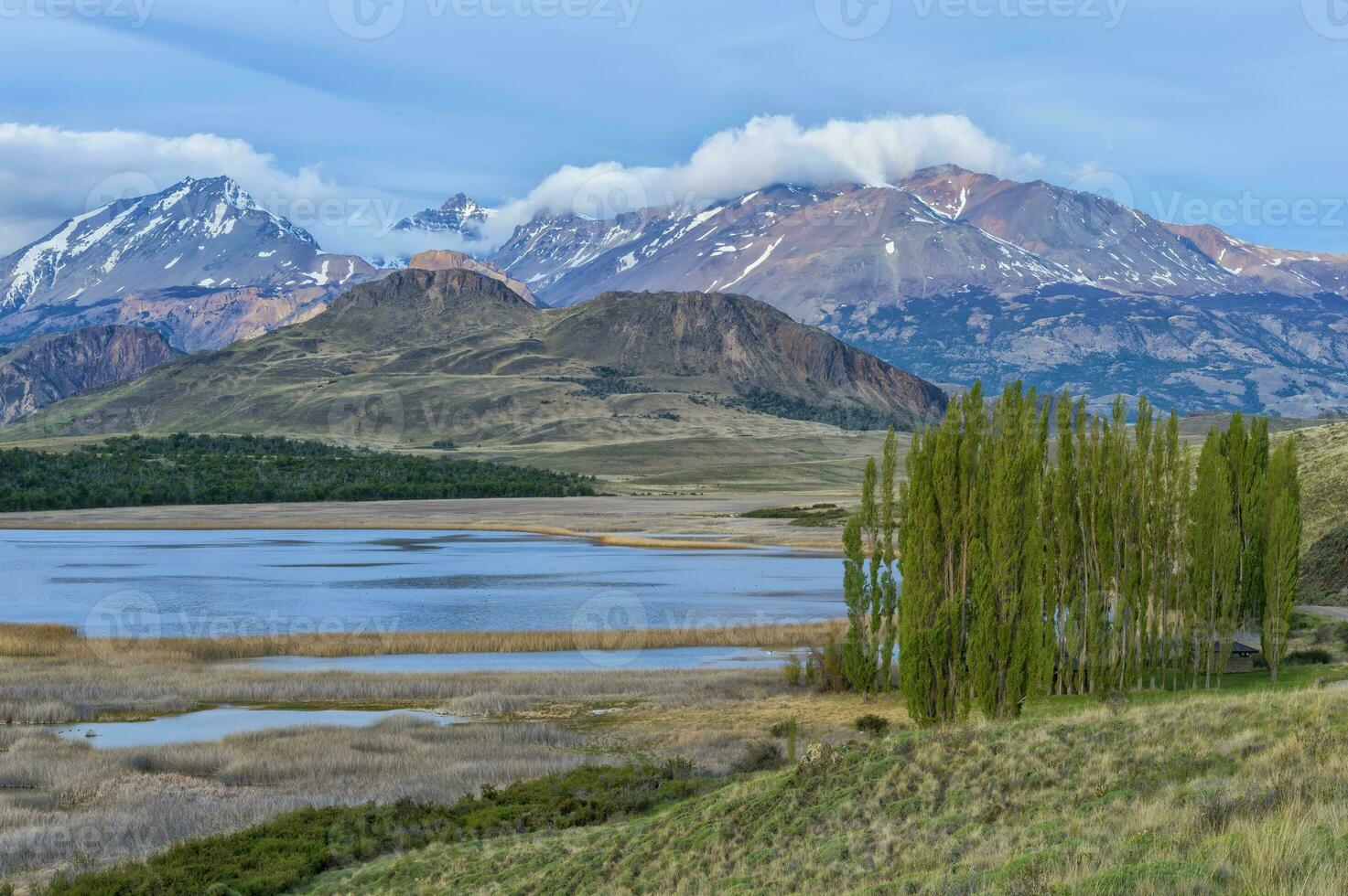 poppel träd i främre av de anderna, patagonien nationell parkera, chacabuco dal nära cochrane, aysen område, patagonien, chile foto