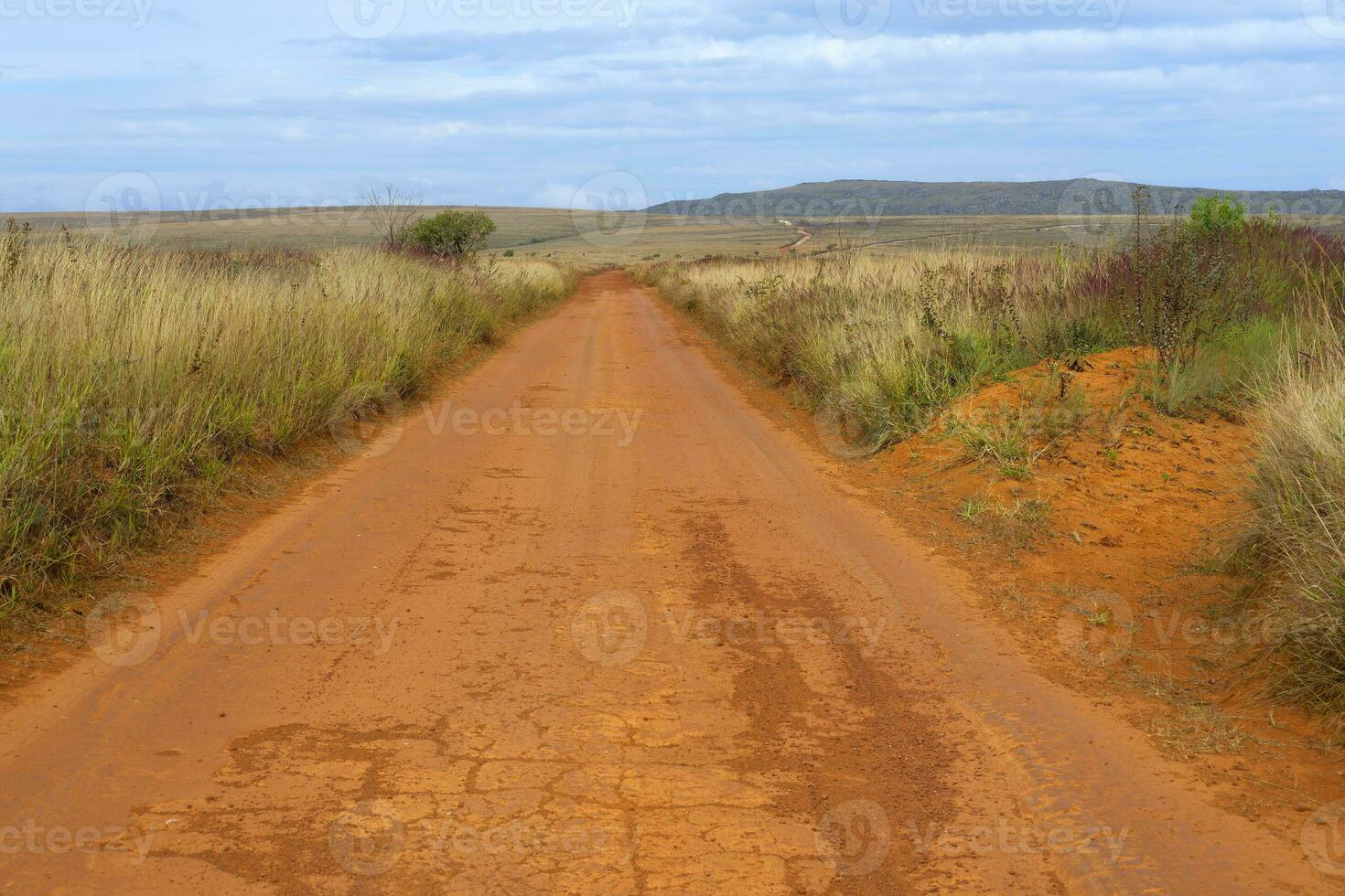 serra da canastra landskap och vegetation, minas gerais, Brasilien foto