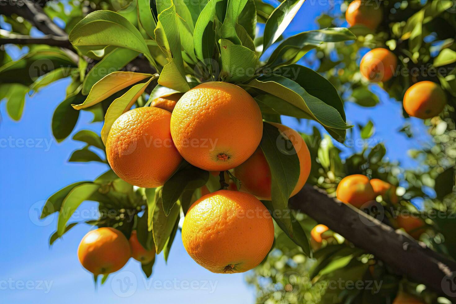 ai genererad orange frukt på träd. ai genererad foto