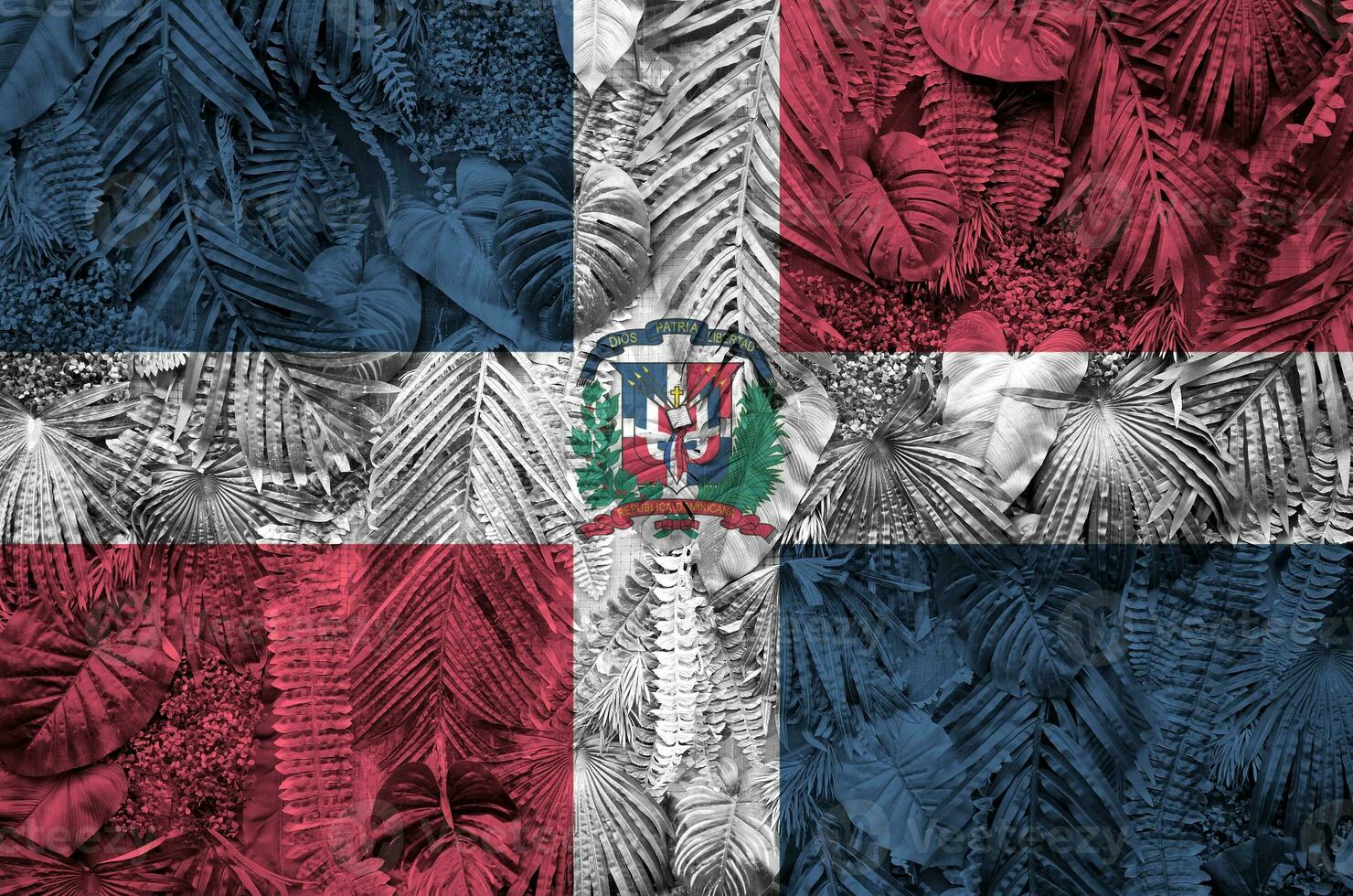 Dominikanska republik flagga avbildad på många leafs av monstera handflatan träd. trendig modern bakgrund foto