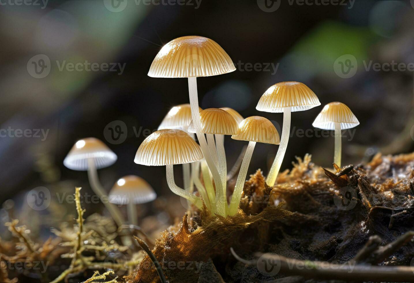 ai genererad hemimycena arter mairei. ai genererad. foto